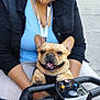 woman, dog, french_bulldog, glasses, head_wrap, smile, outdoor, sidewalk, mobility_scooter, clothing, leash, urban, happy, pet, person, casual, daytime, street, hands, joy