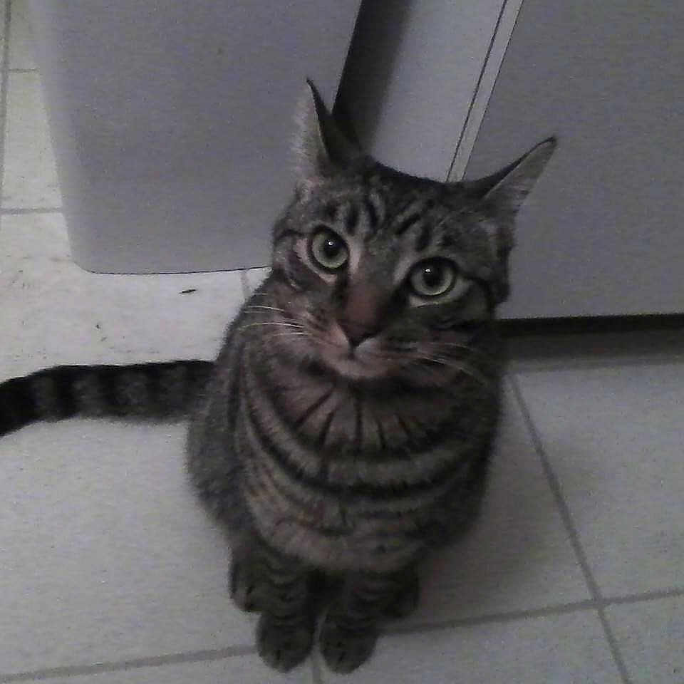 Sebstian is registered to the contest to win money with this photo: