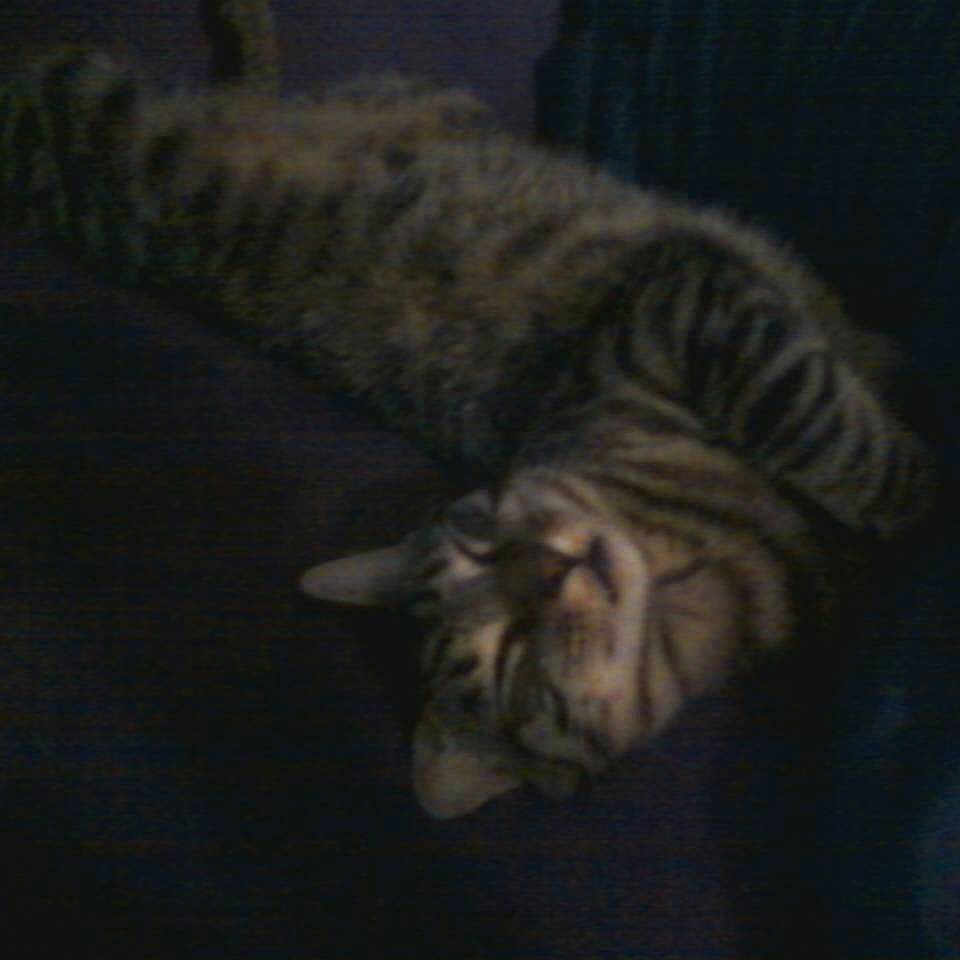 Sebastian