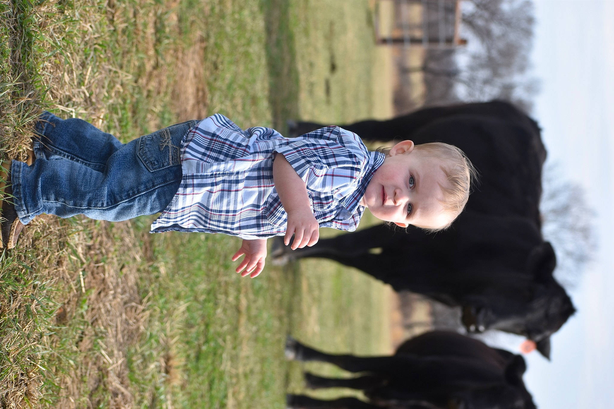 Kohen joined the competition — help win amazing prizes! baby, child, face, fun, grass, happy, leisure, pattern, people_in_nature, person, plaid, plant, play, portrait_photography, recreation, sitting, street_fashion, tartan, toddler, tree