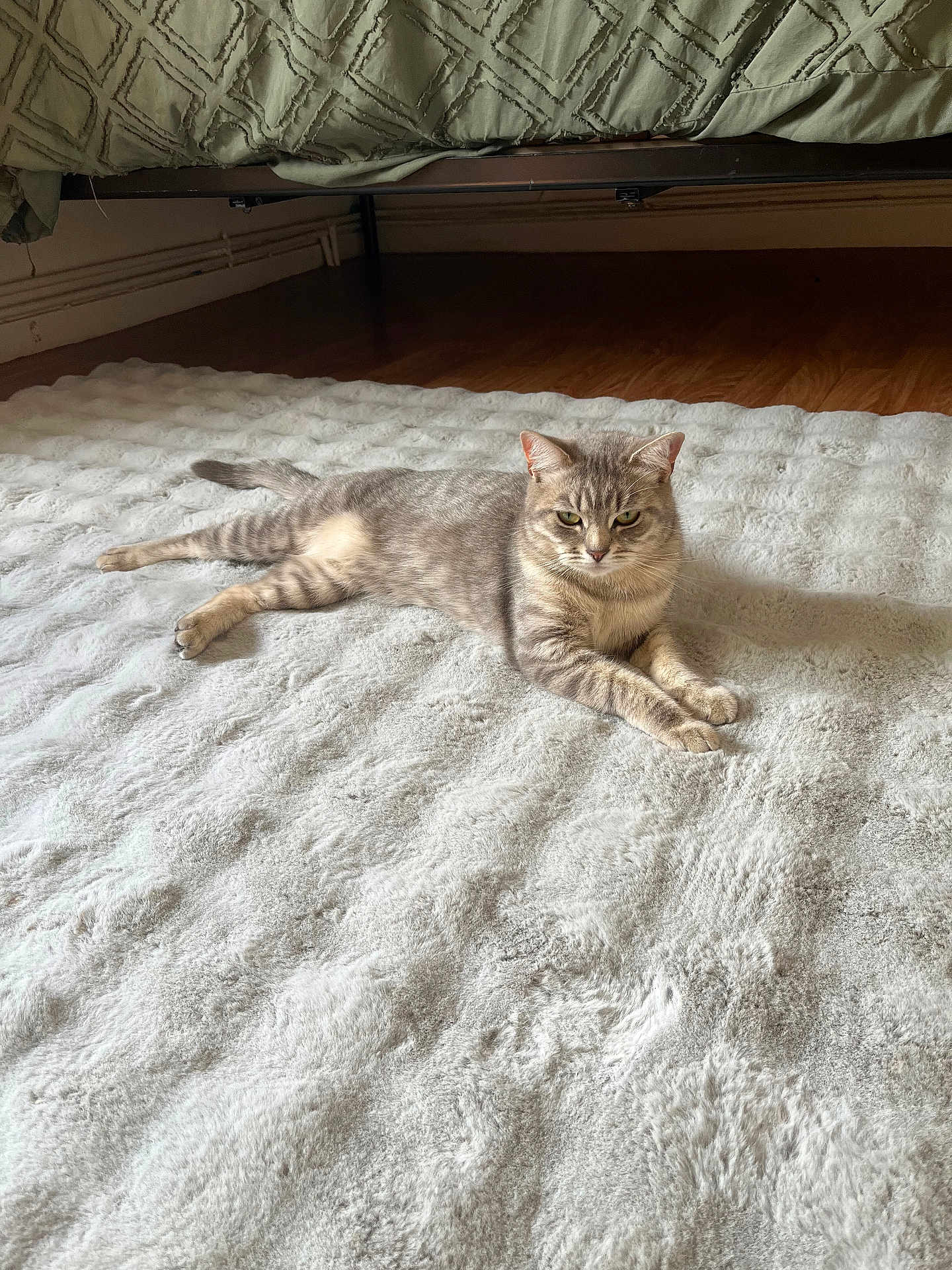 Nala