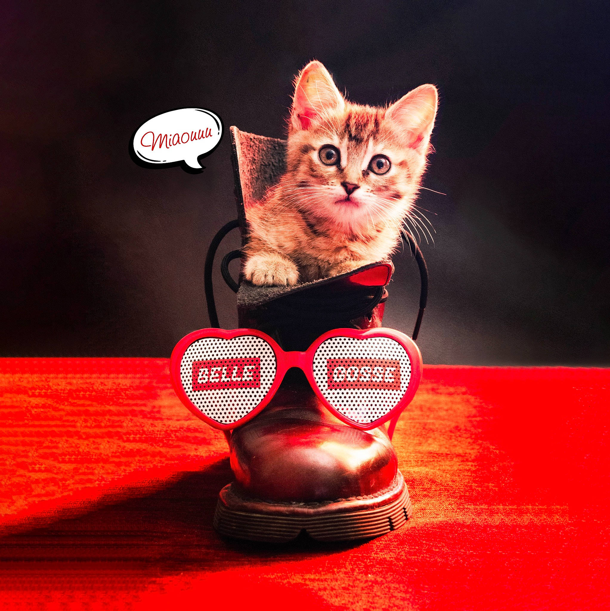 Belle Gosse a rejoint le concours — aidez-le/la à gagner de superbes lots ! carnivore, cat, cat_supply, coffee_cup, cup, drinkware, fawn, felidae, glasses, red, serveware, small_to_medium_sized_cats, sweetness, table, tableware, tail, teacup, toy, whiskers
