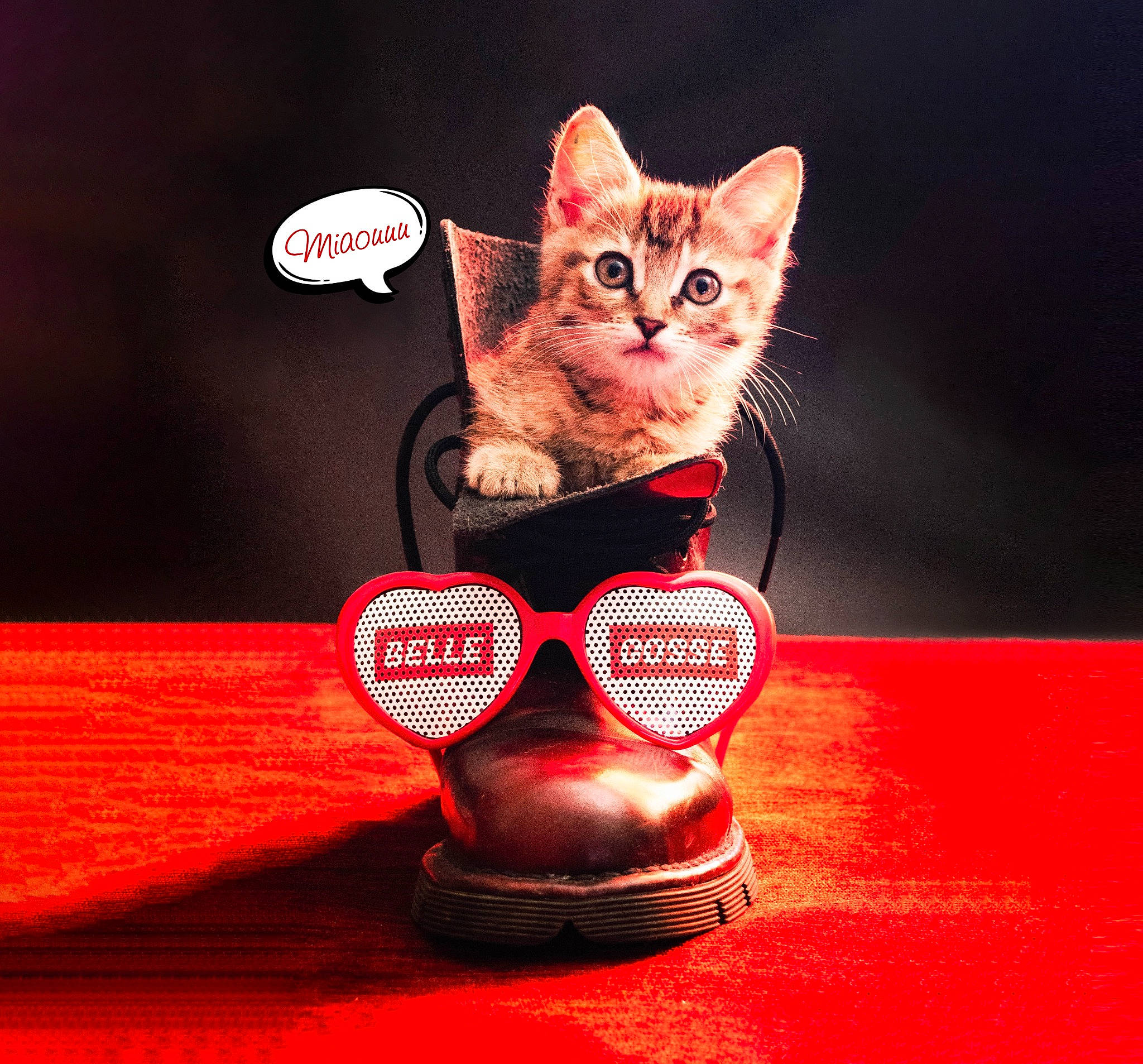 Belle Gosse participe au concours pour gagner de l'argent avec cette photo : carnivore, cat, cup, drinkware, event, fawn, felidae, glasses, light, red, serveware, small_to_medium_sized_cats, snout, table, tableware, tail, teacup, toy, whiskers