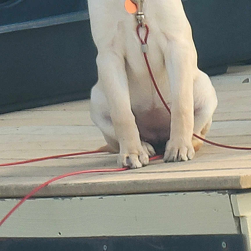 Rita