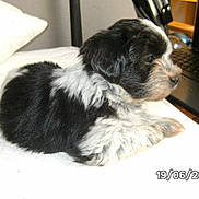 Sultant participe au concours pour gagner de l'argent avec cette photo :