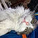 Percy Catson