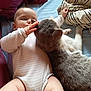 Leiré participe au concours pour gagner de l'argent avec cette photo : animal, baby, bed, blanket, cat, child, comfort, cozy, curious, cute, feline, indoor, infant, laying_down, pet, sleeping_area, snuggling, soft, toddler, white_clothing