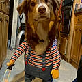 Finley L.