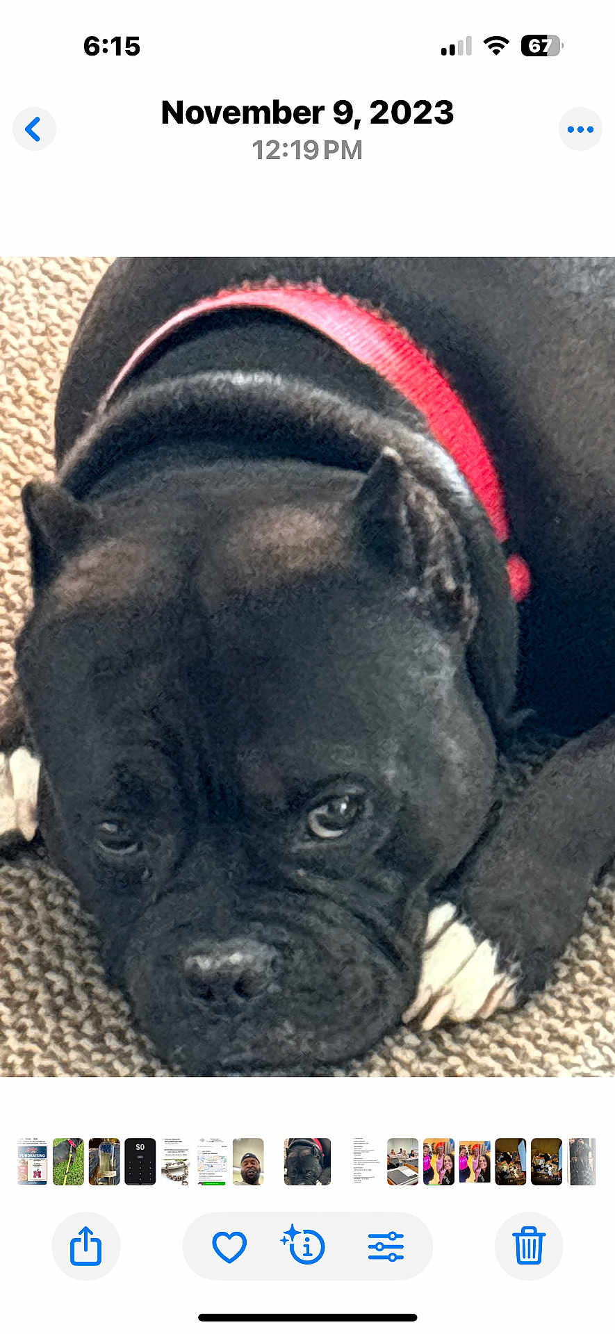 Kodak