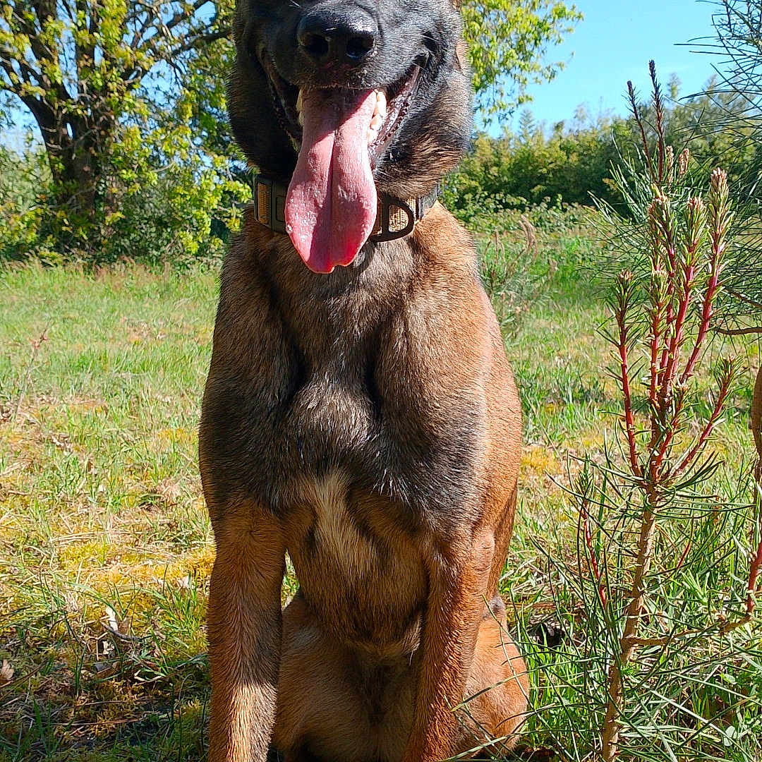 Abby