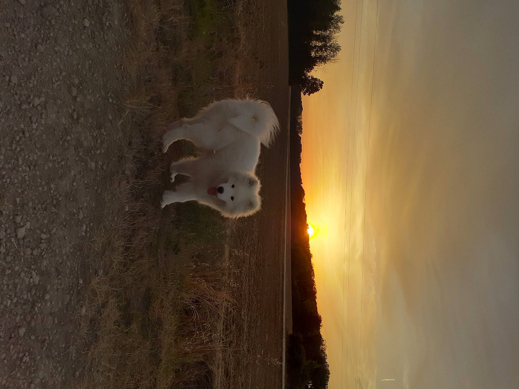 Ròzka a rejoint le concours — aidez-le/la à gagner de superbes lots ! art, light