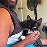 Bear joined the competition — help win amazing prizes! afro, animal, beard, black_and_white_cat, cat, door, fan, furniture, holding, home, indoor, looking_at_camera, man, person, pet, relaxed, shorts, sitting, tank_top, tattoo