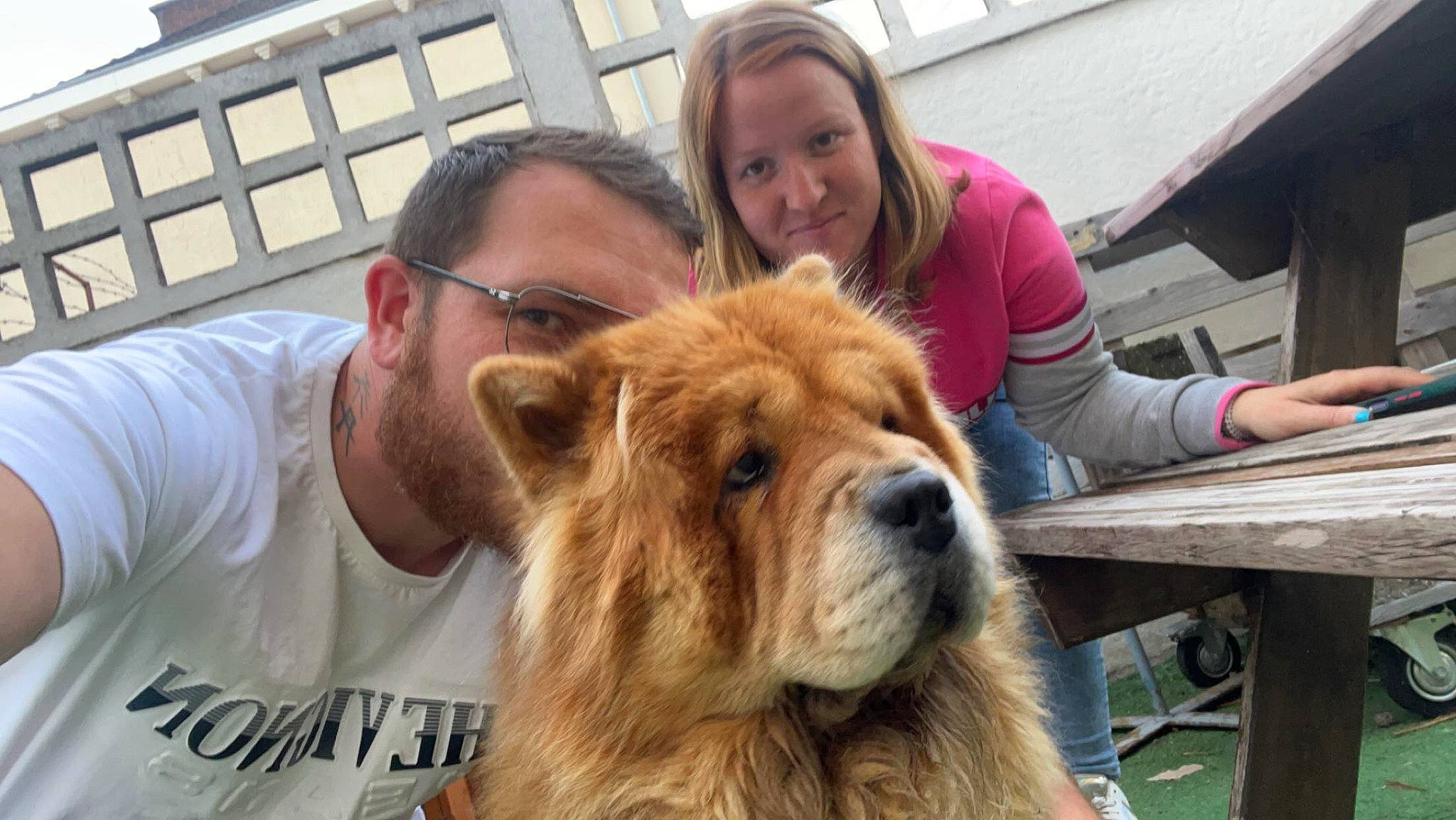 Oly a rejoint le concours — aidez-le/la à gagner de superbes lots ! canidae, carnivore, companion_dog, dog, dog_breed, event, eyewear, fawn, fun, fur, happy, leisure, selfie, smile, snout, sporting_group, t_shirt, vacation, whiskers