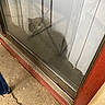 Gomer is registered to the contest to win money with this photo: cat, glass, door, reflection, vertical_blinds, indoor, pet, animal, window, concrete, red_frame, shadow, curtain, feline, resting, floor, home, blur, quiet, domestic