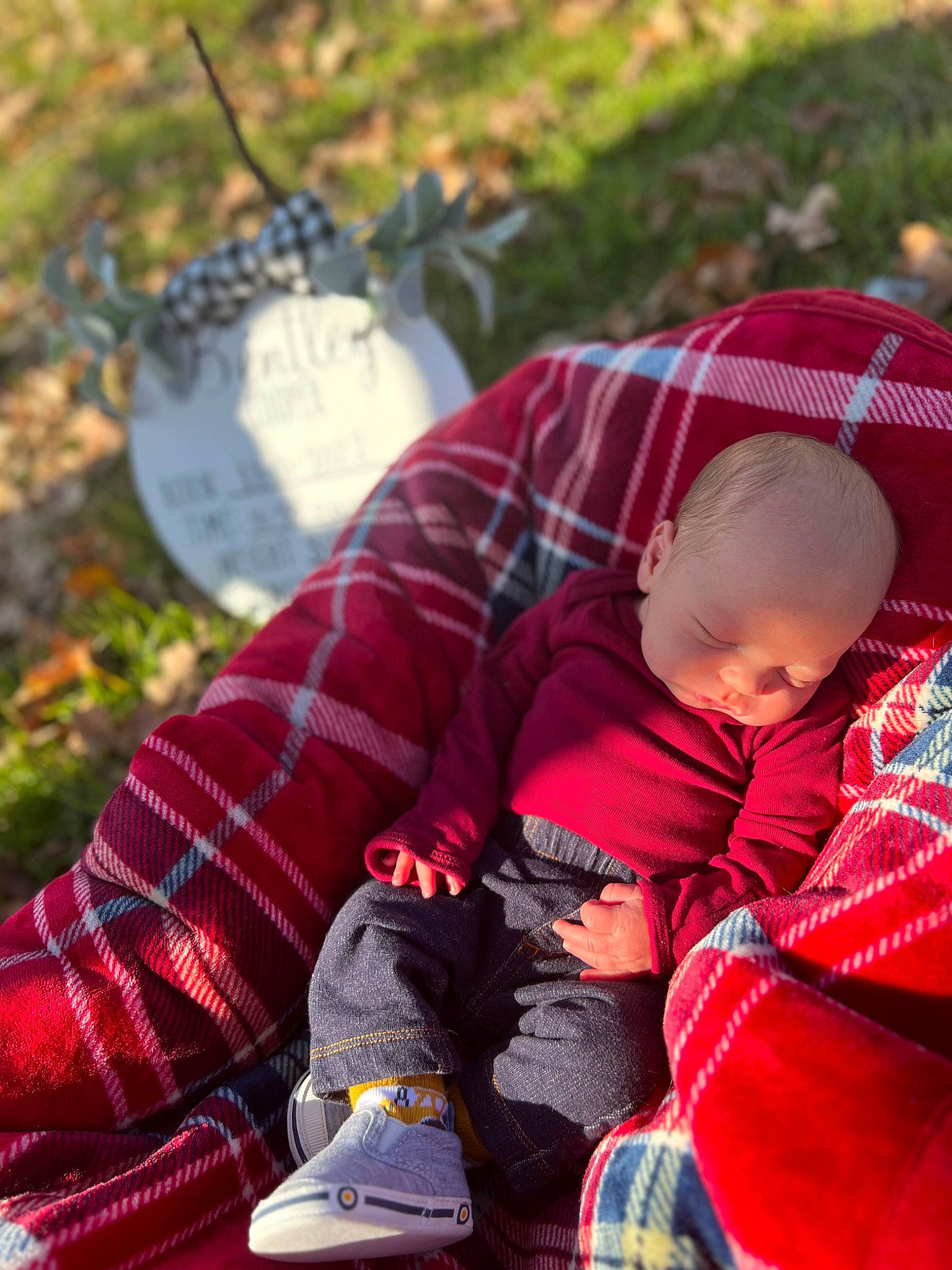 Bentley joined the competition — help win amazing prizes! baby, carmine, child, comfort, foot, grass, happy, human_leg, lap, leisure, pattern, people_in_nature, person, photograph, plaid, plant, sitting, tartan, toddler, tree