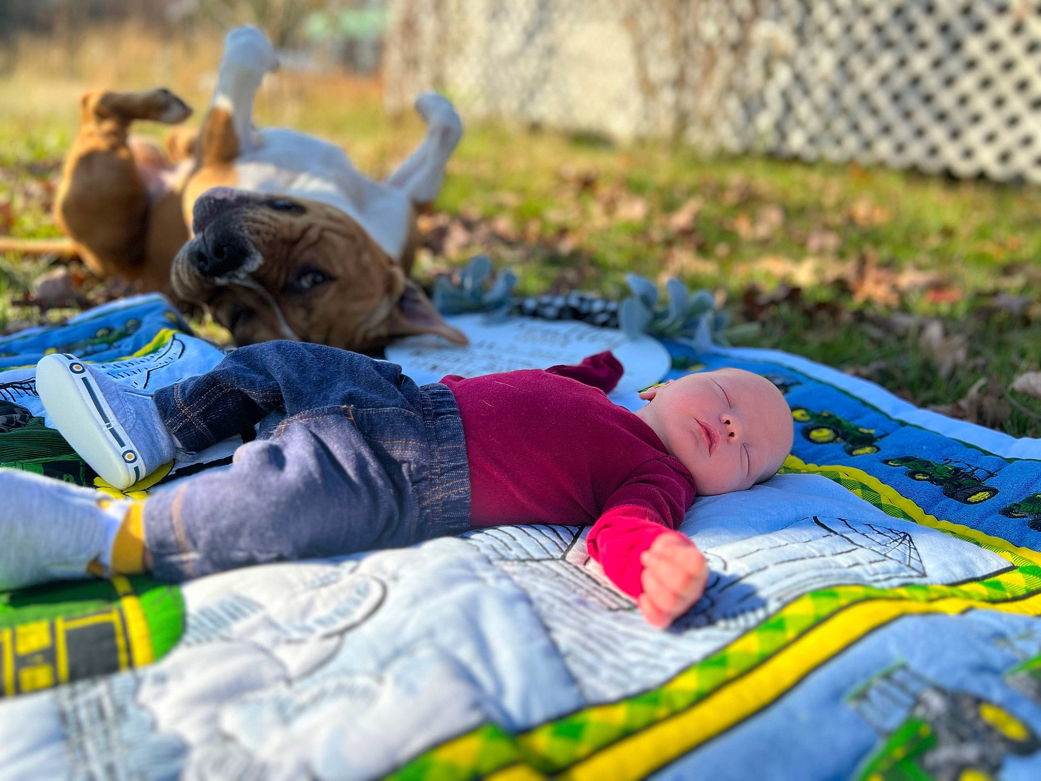 Bentley joined the competition — help win amazing prizes! baby, child, comfort, companion_dog, fence, fun, grass, happy, hat, lawn, leisure, linens, nap, people_in_nature, person, picnic, recreation, sitting, spring, sunglasses