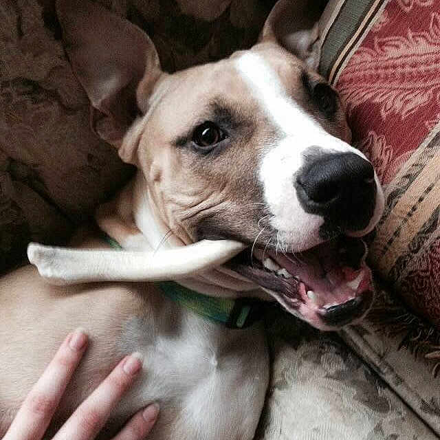 Victory is registered to the contest to win money with this photo: