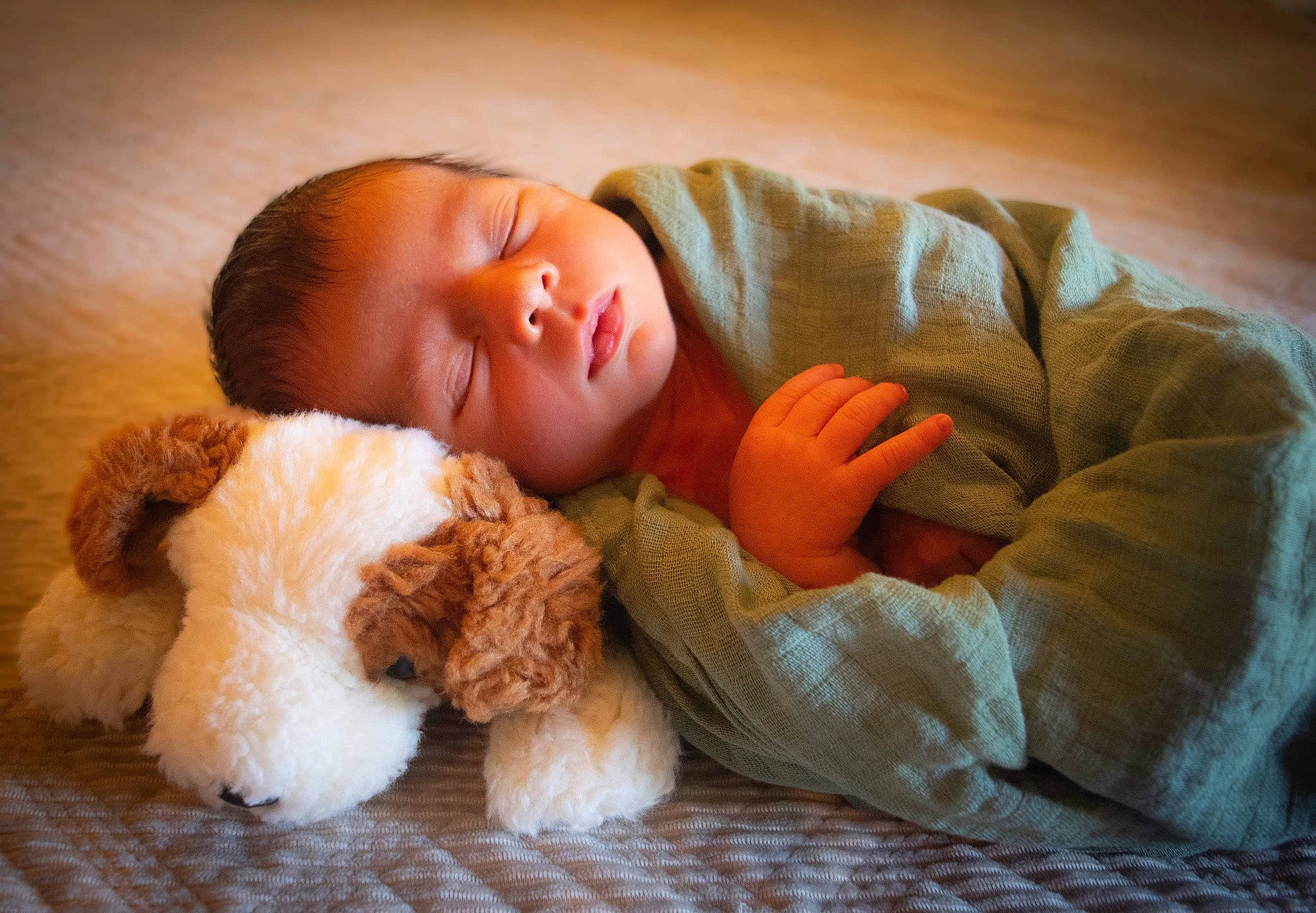 Bodee is registered to the contest to win money with this photo: baby, baby_sleeping, baby_toddler_clothing, bedtime, child, comfort, companion_dog, fur, happy, linens, nap, person, portrait_photography, sitting, skin, stuffed_toy, textile, toddler, toy, wood