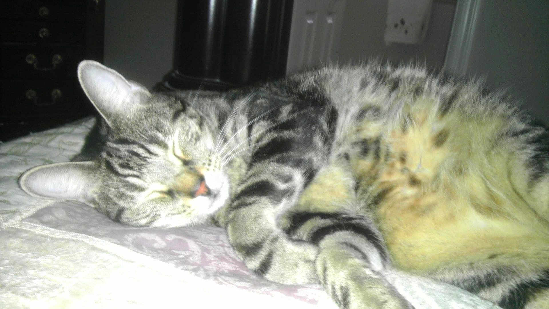 Max
