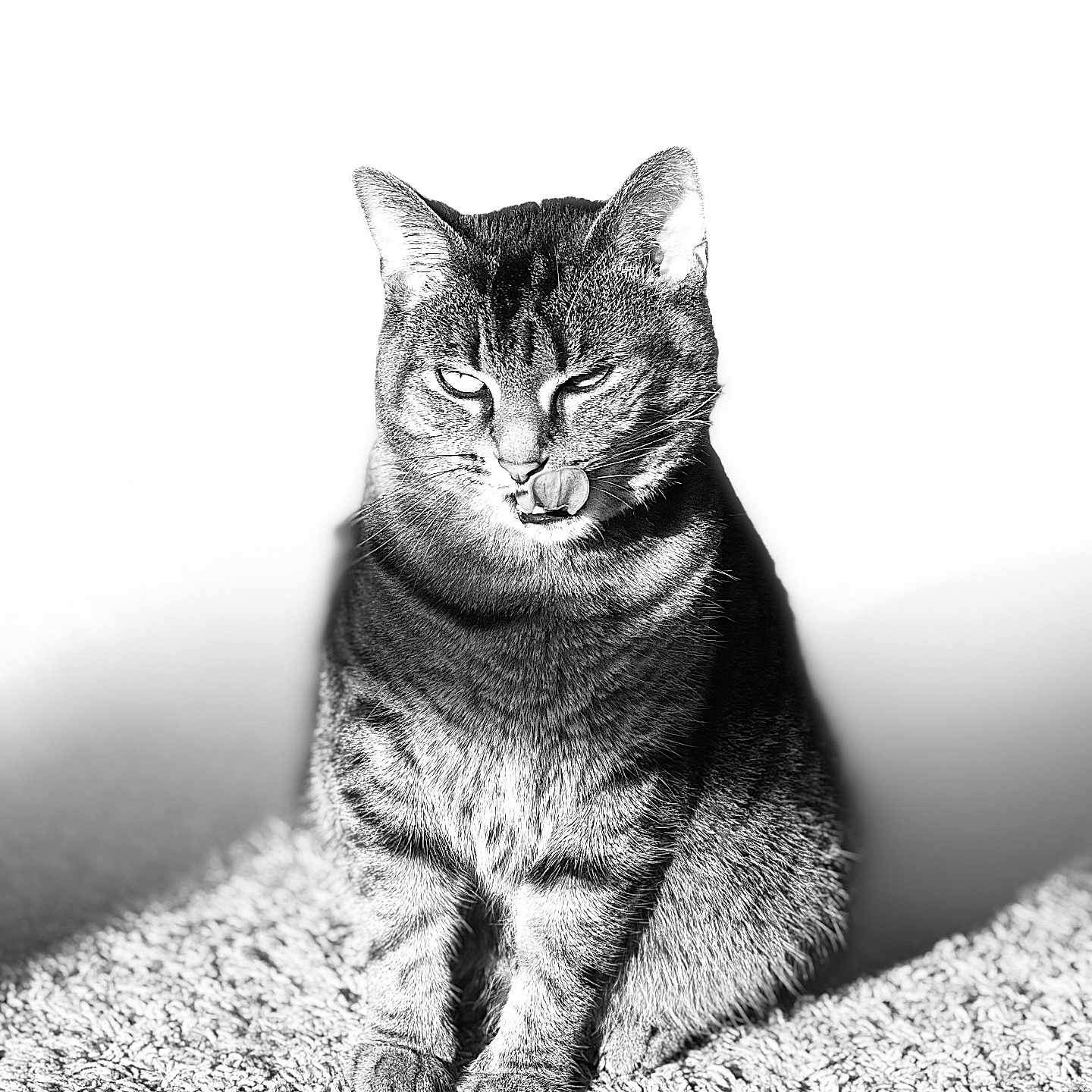 Emmi