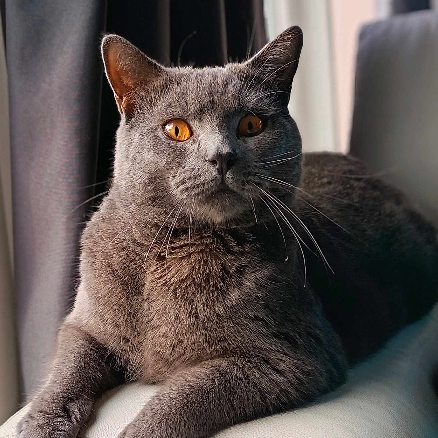 Winnie