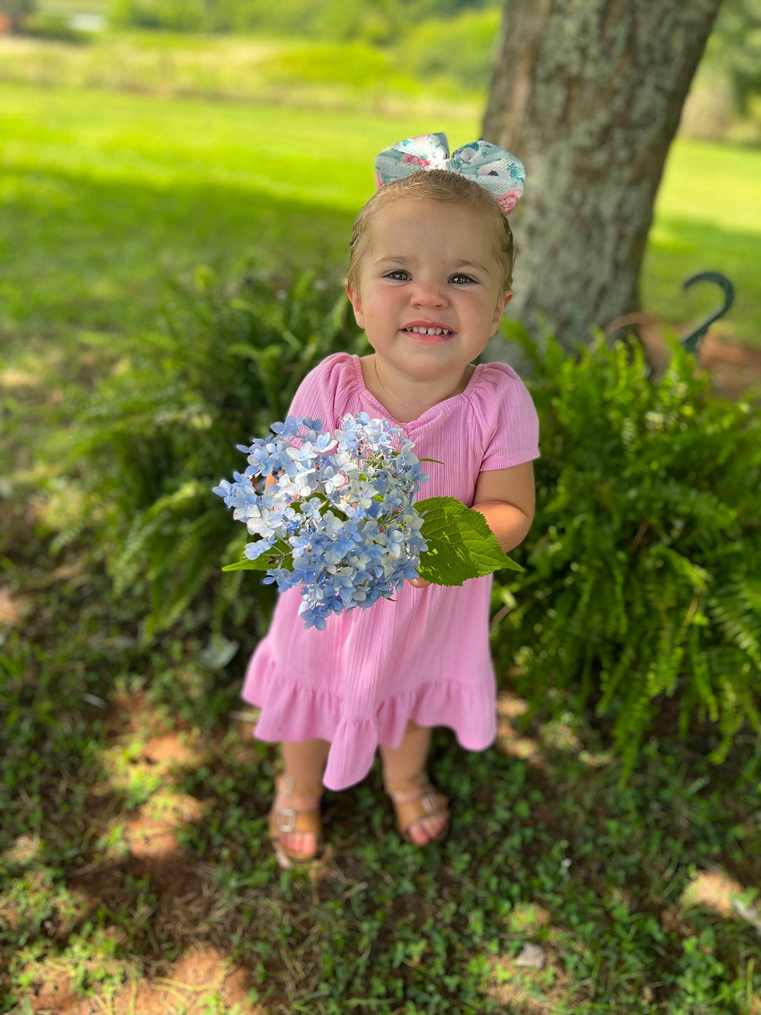 Delilah is registered to the contest to win money with this photo: baby, baby_toddler_clothing, botany, child, flower, garden, grass, grass_family, happy, joy, leaf, magenta, meadow, nature, people_in_nature, person, plant, smile, summer, terrestrial_plant