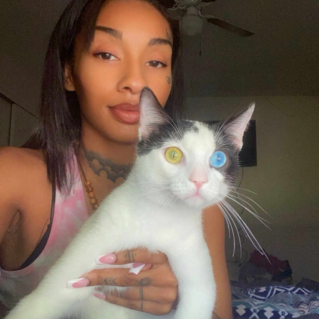 Kranky joined the competition — help win amazing prizes! accessories, animal, appliance, bodypart, cat, ceilingfan, device, electricaldevice, face, finger, glasses, hand, head, jewelry, necklace, person, pet, photography, portrait, selfie