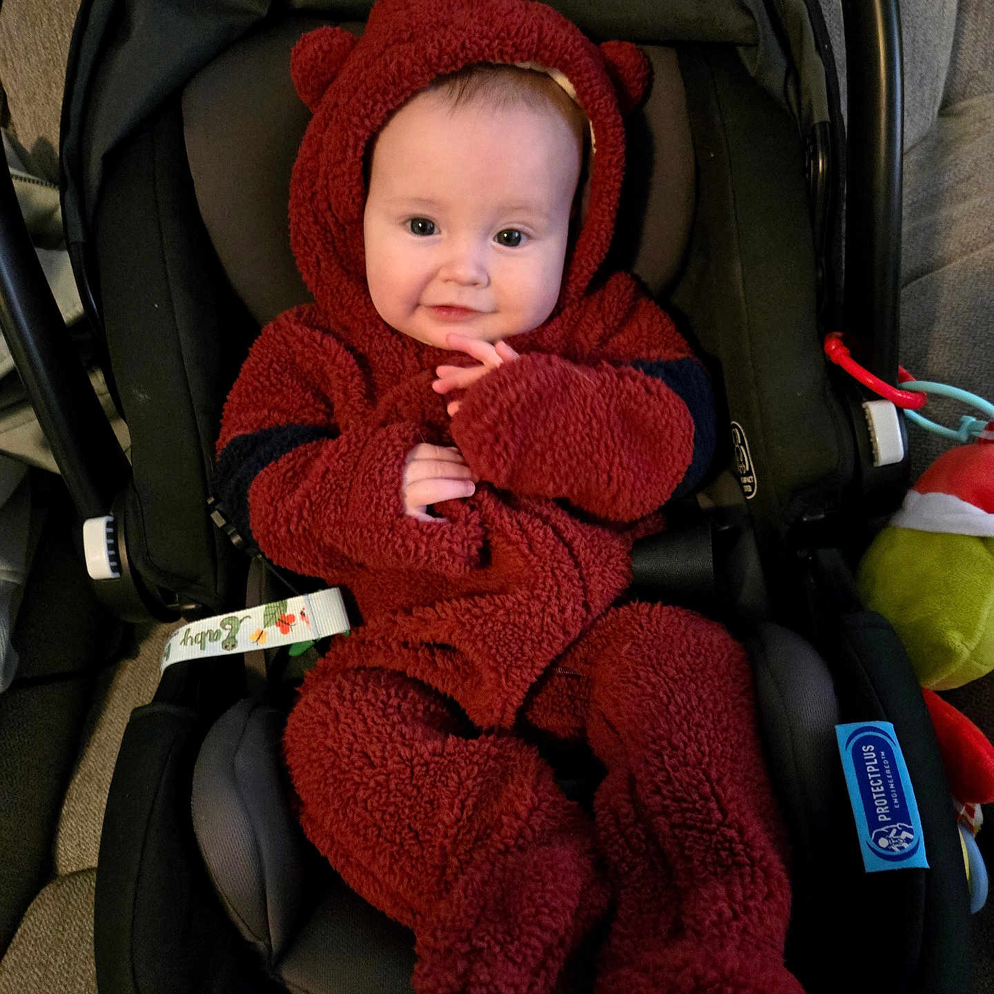 Paxton