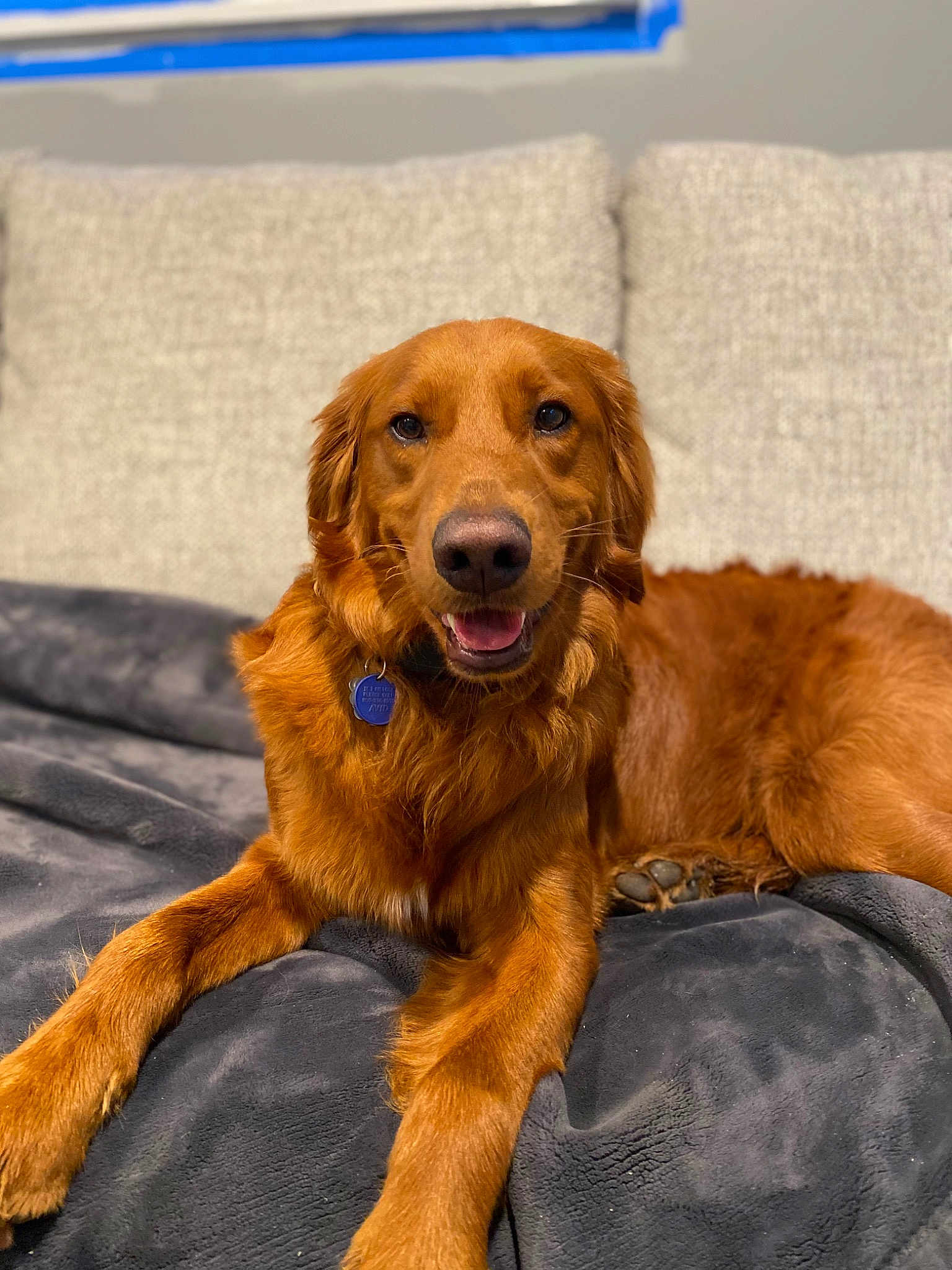 Tito