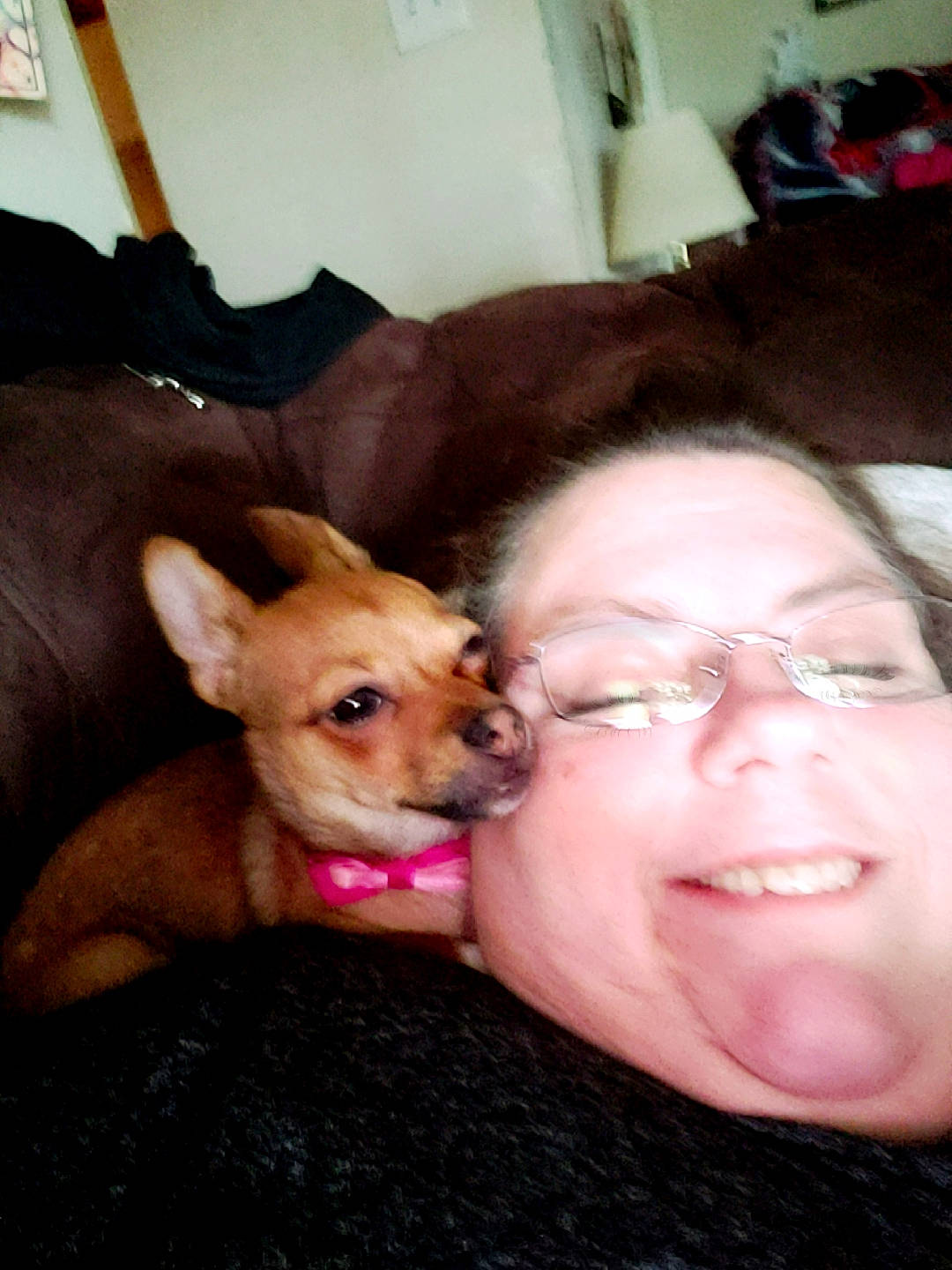 Lacy is registered to the contest to win money with this photo: canidae, carnivore, chihuahua, child, companion_dog, dog, dog_breed, ear, fawn, head, mammal, mouth, nose, puppy, puppy_love, toy_dog