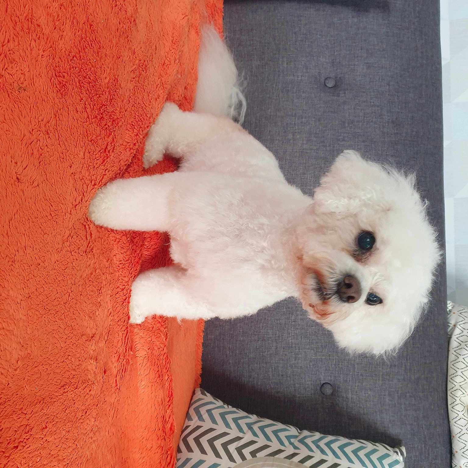 Genny