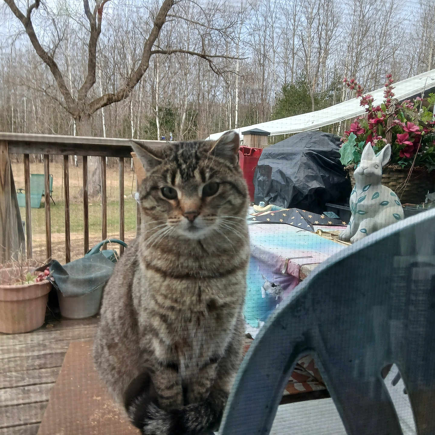 Sophie