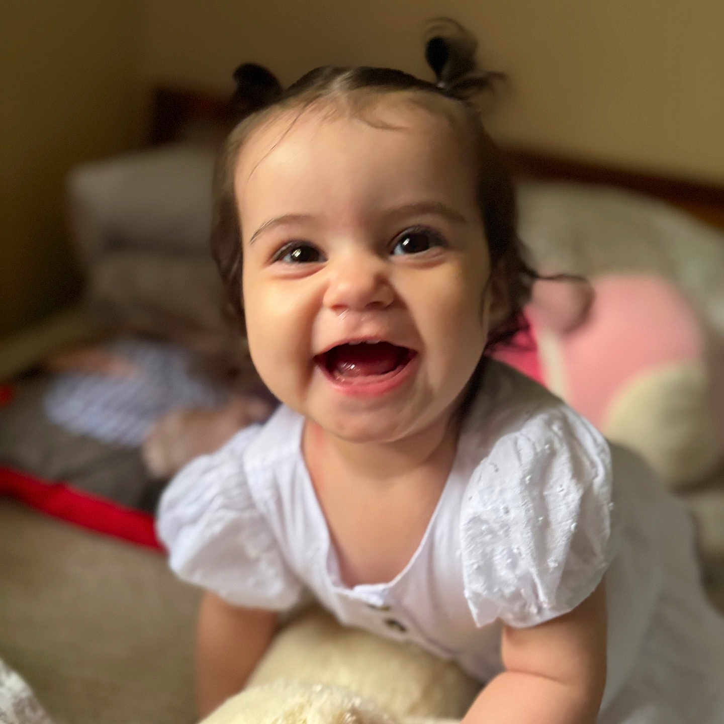 Elaina