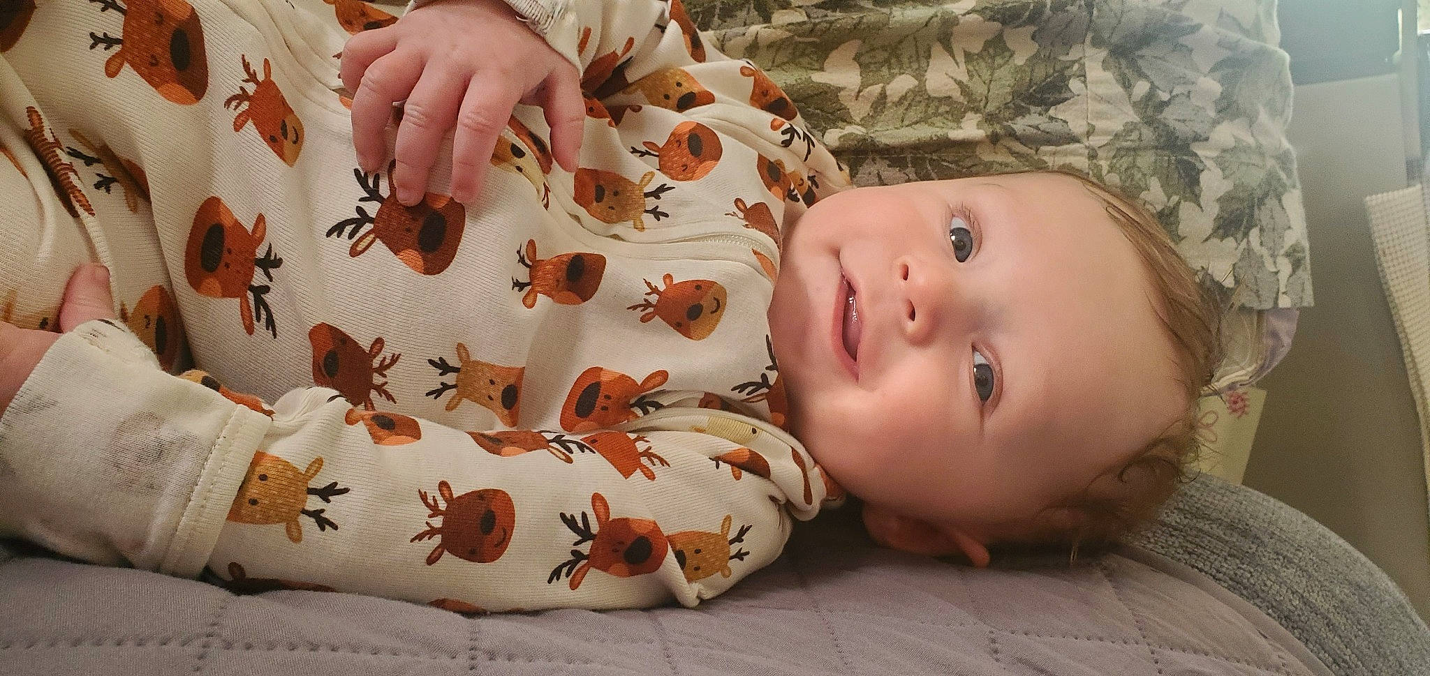 Draco joined the competition — help win amazing prizes! adaptation, baby, baby_toddler_clothing, cheek, child, fawn, finger, flooring, grass, hand, human_body, leaf, nose, organism, pattern, person, skin, textile, toddler, vertebrate