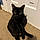 Salem