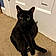 Salem