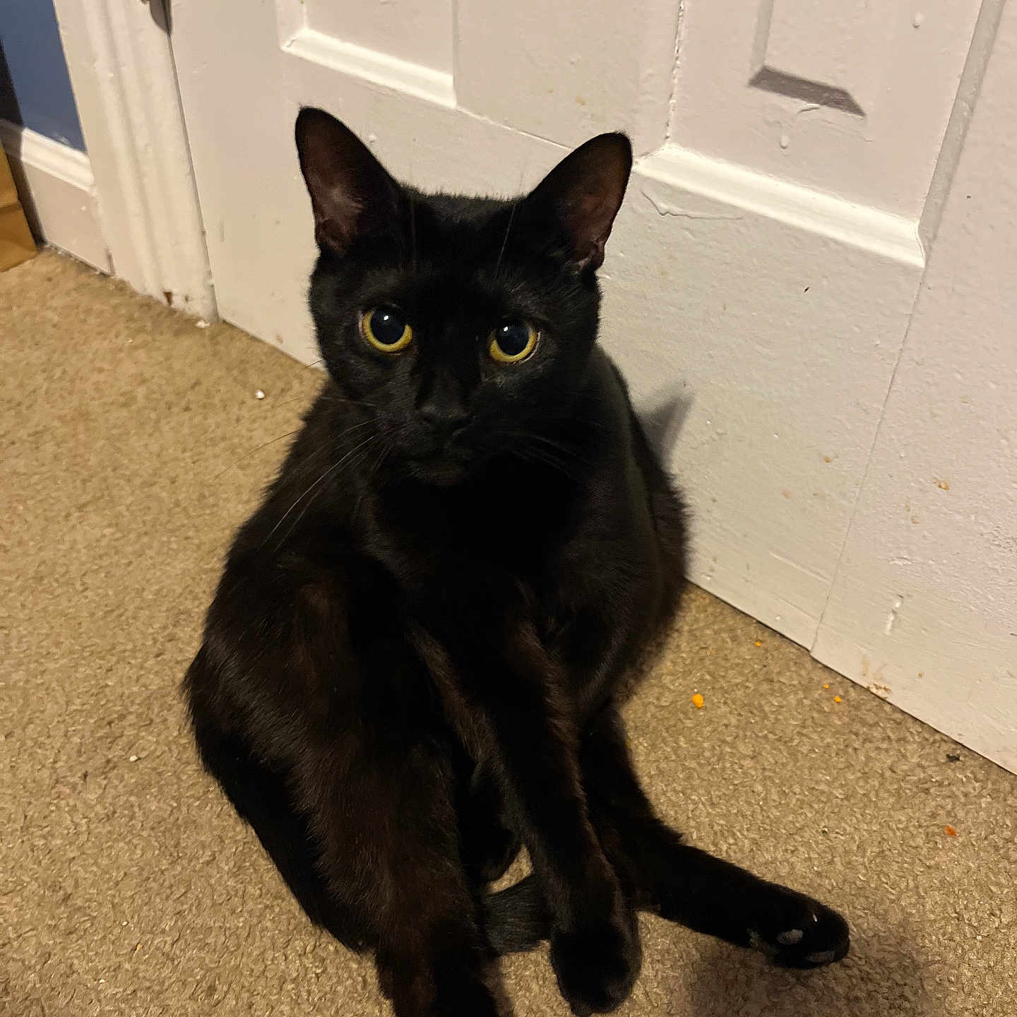 Salem