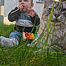 animal, baby, casual, cat, child, curious, cute, feline, fur, grass, greenery, nature, outdoor, pet, playing, relaxed, sitting, toy, xylophone, young