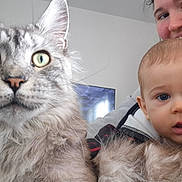 Ushitõ participe au concours pour gagner de l'argent avec cette photo : baby, blue_eyes, cat, close_up, cozy, curious, cute, face, family, fluffy_cat, fur, head, home, indoor, light, person, pet, portrait, smiling, woman