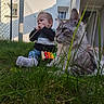 animal, baby, building, casual, cat, child, curious, daylight, domestic_cat, fence, grass, greenery, outdoor, pet, playing, sitting, toy, window, xylophone, young