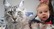 Ushitõ participe au concours pour gagner de l'argent avec cette photo : animal, baby, cat, child, closeup, curious, cute, domestic_cat, expression, face, feline, fur, human, indoor, mammal, person, pet, portrait, smile, woman