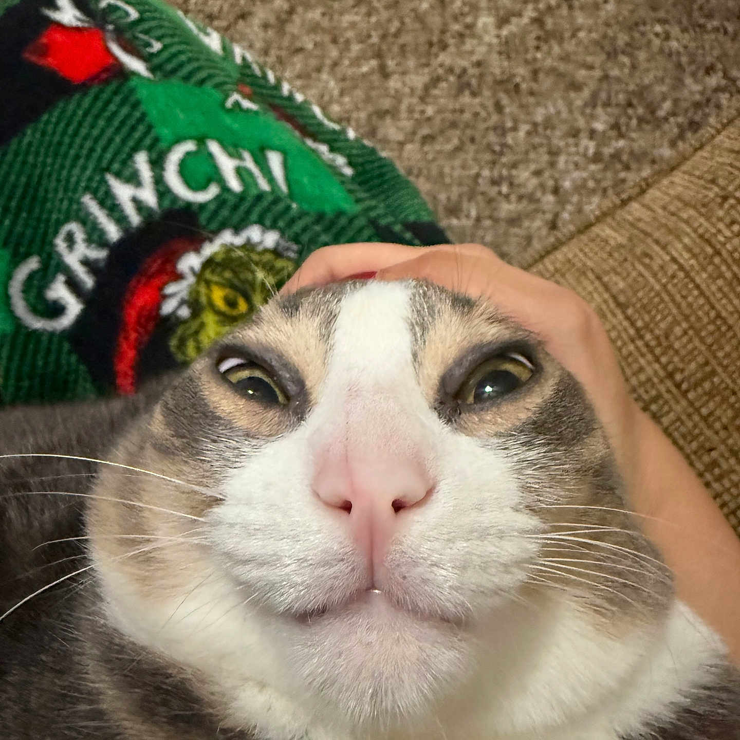 Megatron