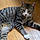 Zeek