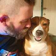 Bella Kay Essman joined the competition — help win amazing prizes! man, dog, beard, smiling, indoor, door, phone, brown, white, face, pet, happy, human, companion, floor, mat, closeup, affection, friendship, casual