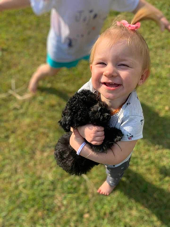 Braelyn is registered to the contest to win money with this photo: carnivore, child, companion_dog, dog, dog_breed, fun, gesture, grass, happy, joy, labradoodle, leisure, mammal, people_in_nature, person, recreation, smile, sporting_group, t_shirt, terrier