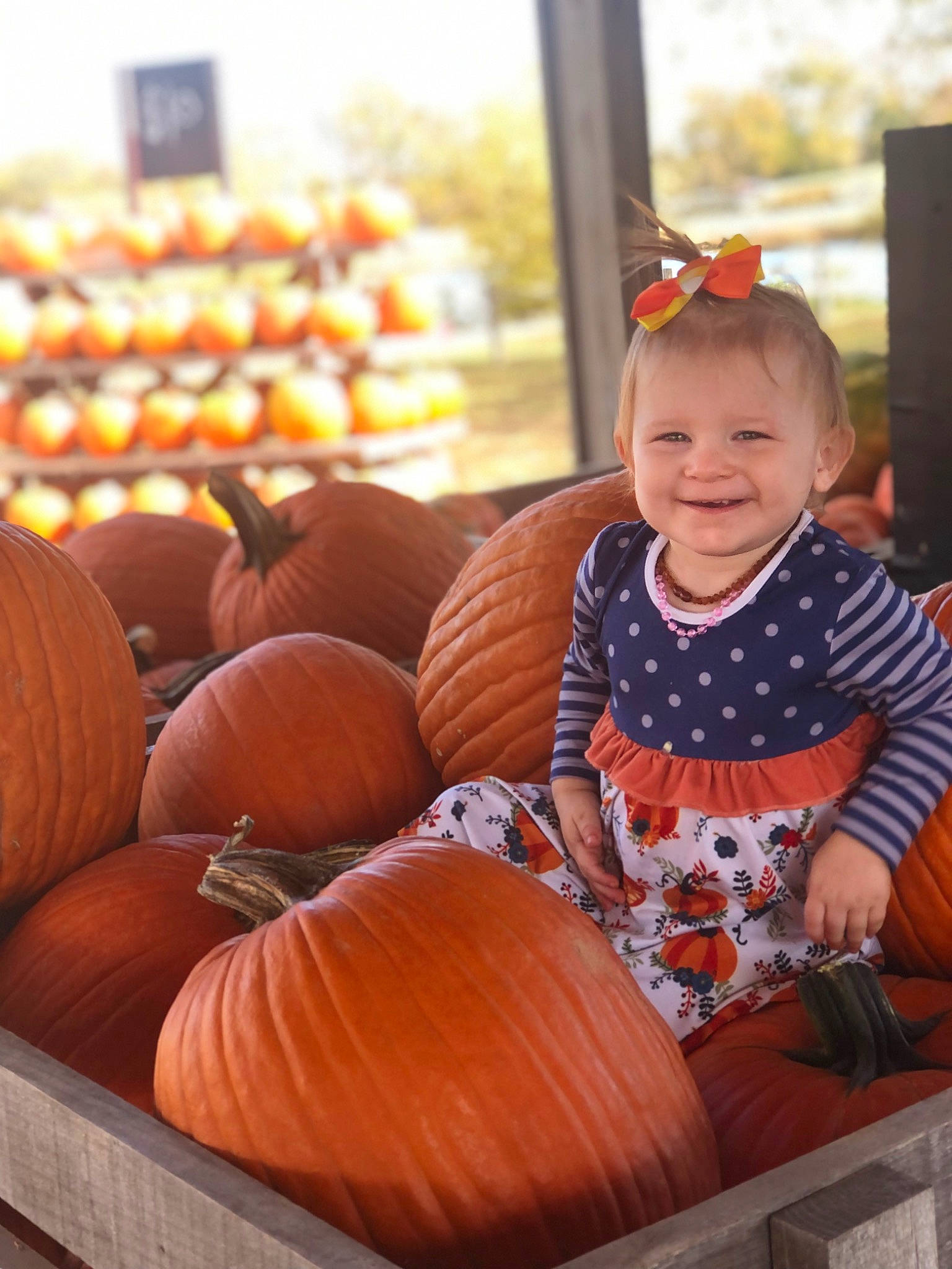 Braelyn is registered to the contest to win money with this photo: baby_toddler_clothing, calabaza, cucurbita, face, food, fruit, gourd, happy, joy, local_food, natural_foods, orange, person, plant, produce, pumpkin, smile, squash, toddler, vegetable