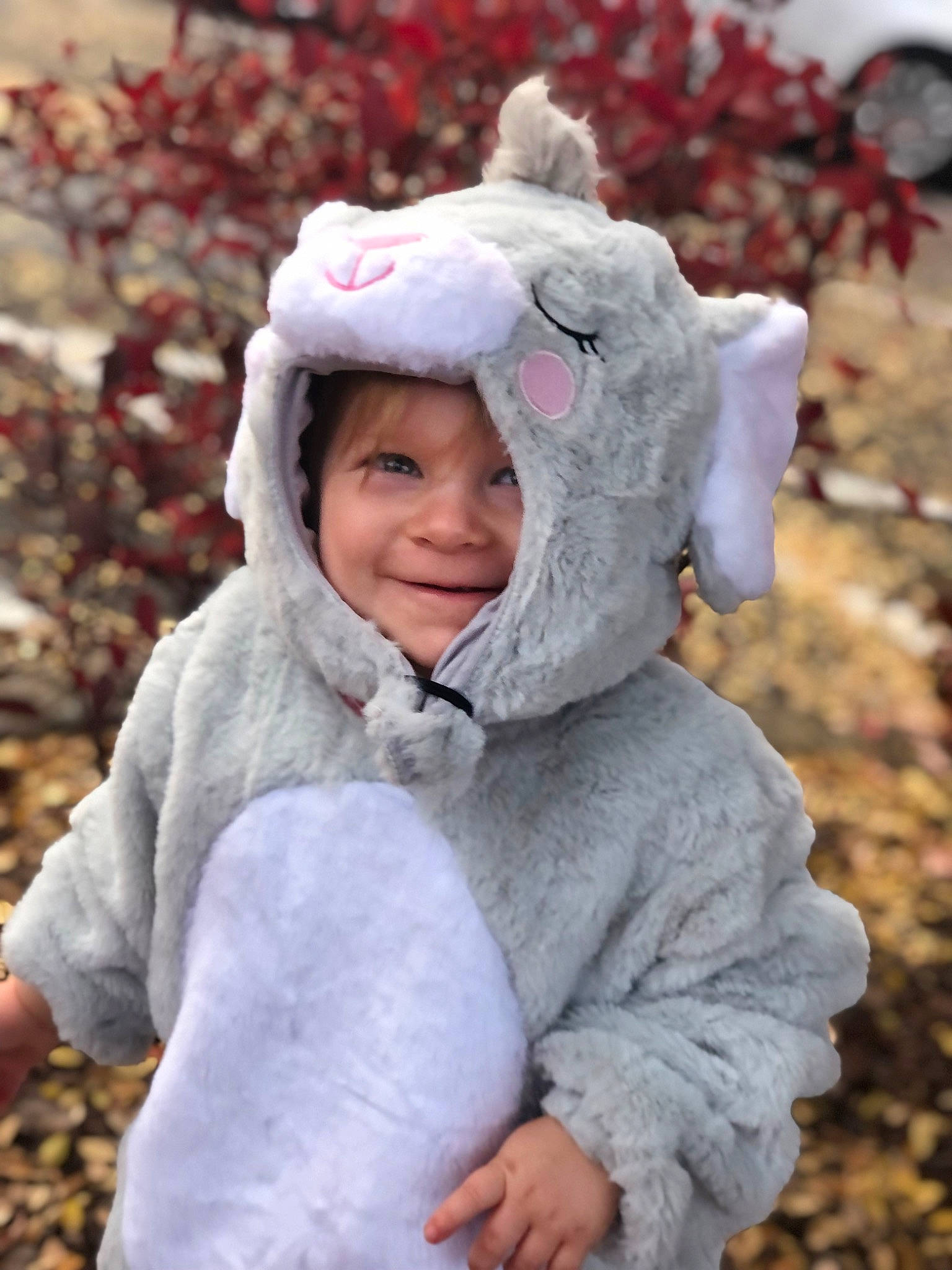 Braelyn joined the competition — help win amazing prizes! baby_toddler_clothing, beauty, cap, child, face, freezing, gesture, grass, happy, head, headwear, human_body, jacket, joy, outerwear, people_in_nature, person, skin, sleeve, smile