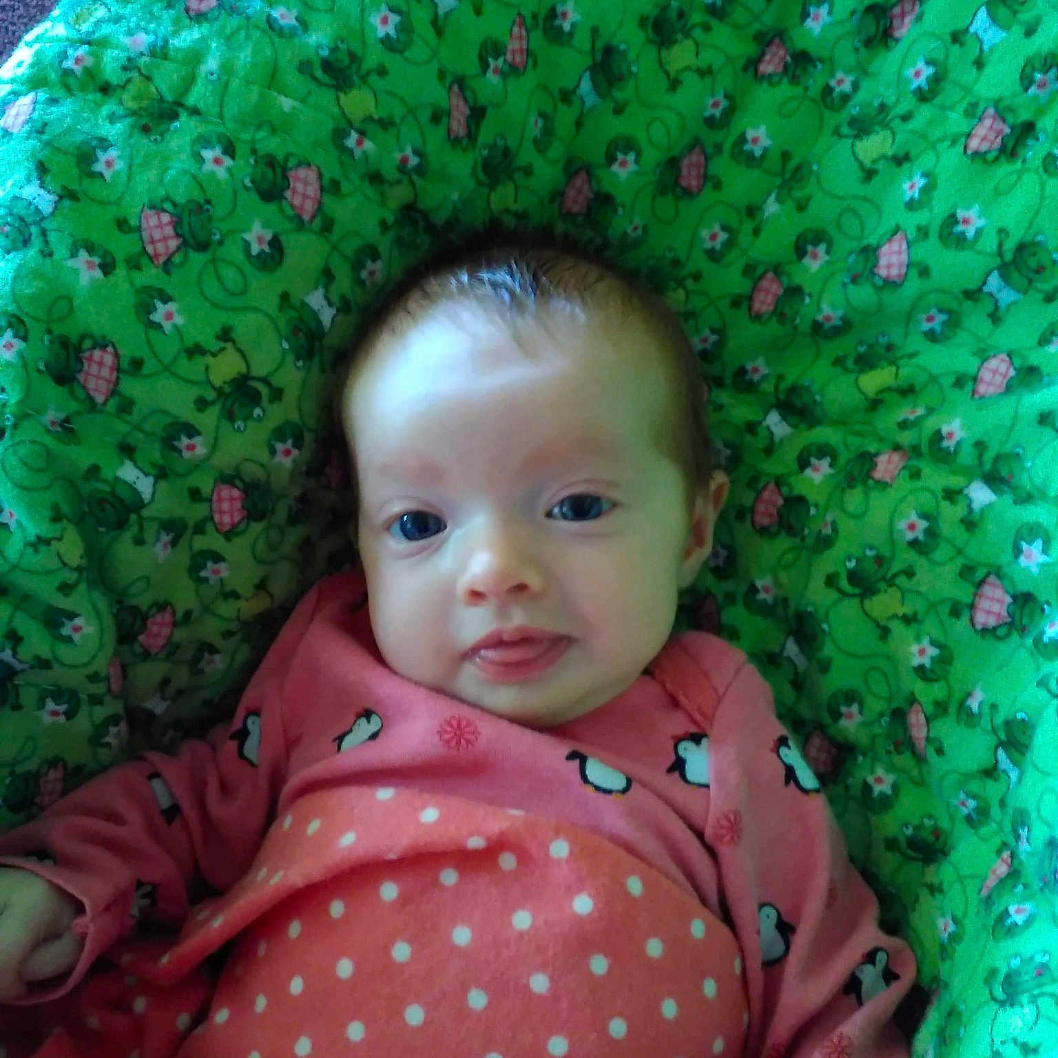 Angela is registered to the contest to win money with this photo: baby, child, eye, face, grass, green, head, knitting, lip, person, pink, skin, toddler
