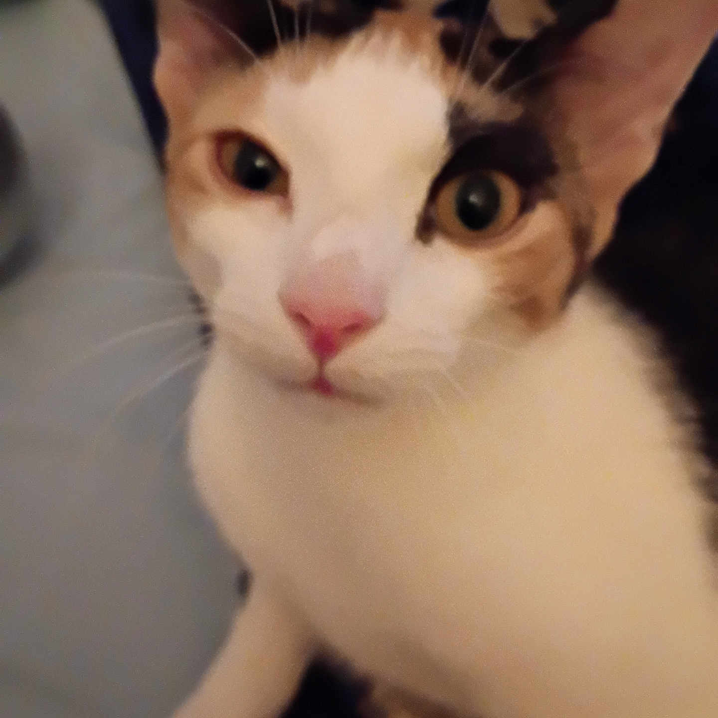 Ella