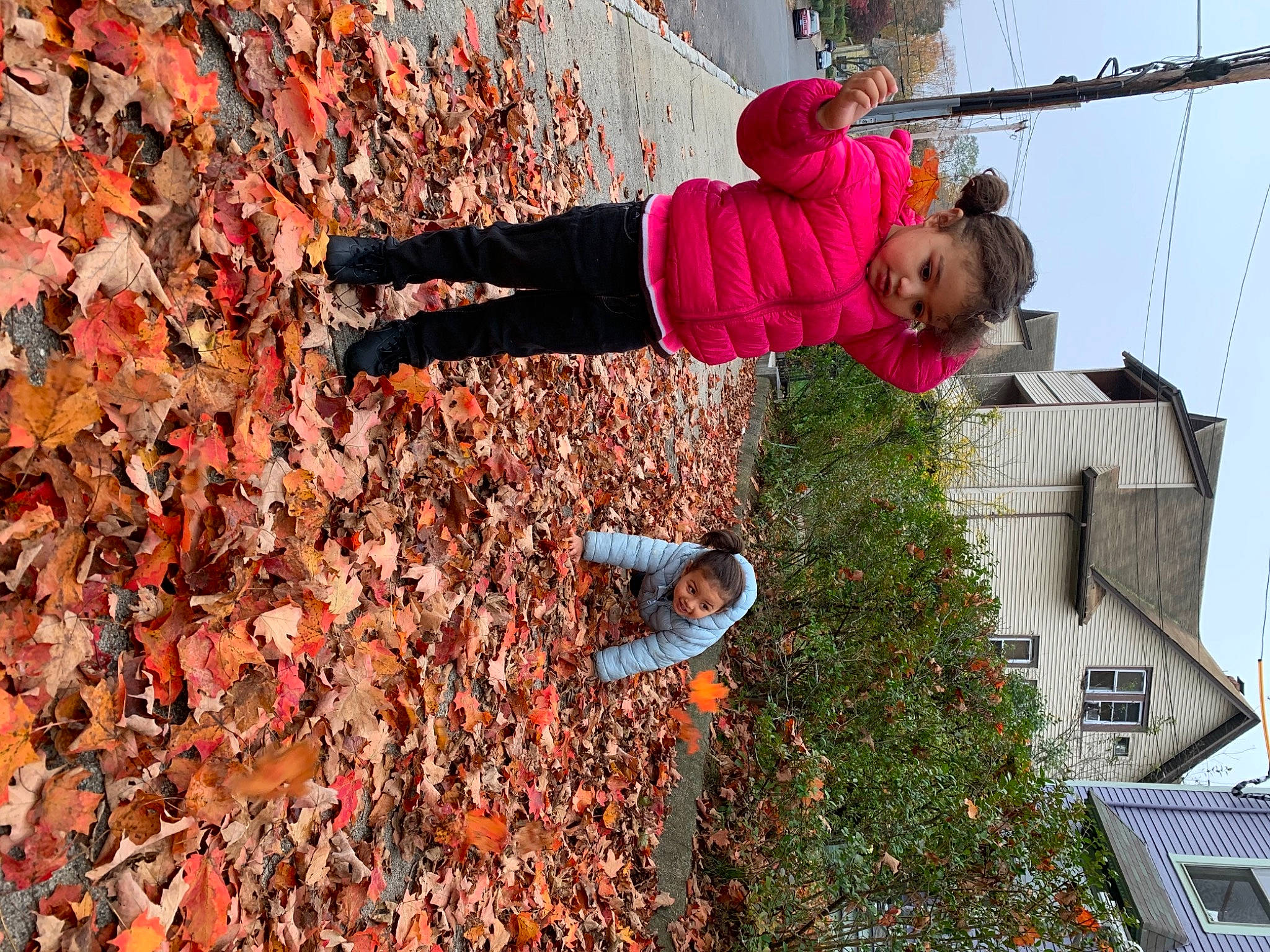 Genesys joined the competition — help win amazing prizes! adventure, joy, person, tree